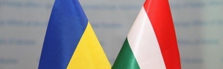 Міжвідомча комісія України та Угорщини обговорить закон про освіту