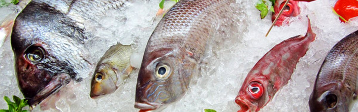 Може суттєво нашкодити: Експертка назвала рибу, яка становить небезпеку для здоров'я людини
