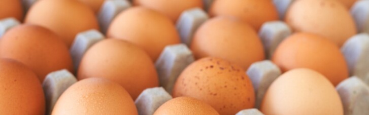 Одна з головних причин подорожчання яєць – тиск НАБУ на одного з великих виробників