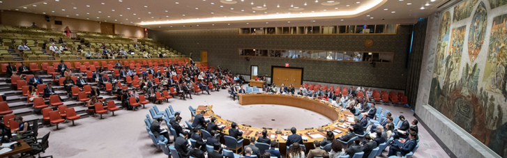 Рада безпеки ООН не підтримала пропозицію РФ щодо Боснії і Герцеговини