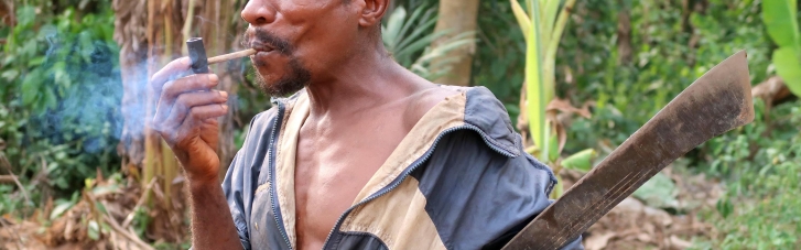 У Конго виявили плем'я пігмеїв-алкоголіків: віддають перевагу самогону