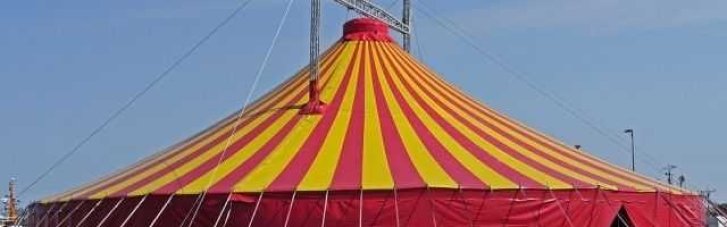 Шапіто з бобрами: пропагандисти показали цирк у Маріуполі