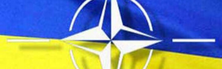 Берге Бренде:  война на Донбассе является  препятствием для членства Украины в НАТО
