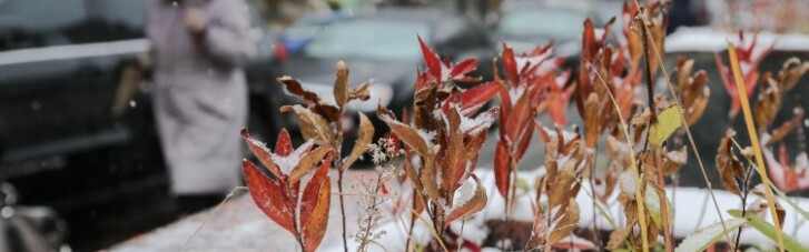 Мокрий сніг, ожеледиця і пориви вітру - невтішний прогноз на п'ятницю
