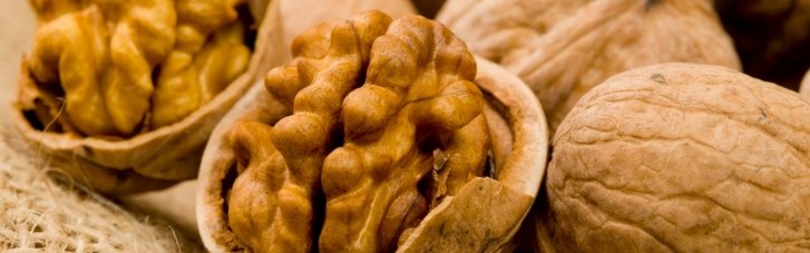 Что лечит волошский орех? Как прилагательные "волошский" и "грецкий" стали синонимами