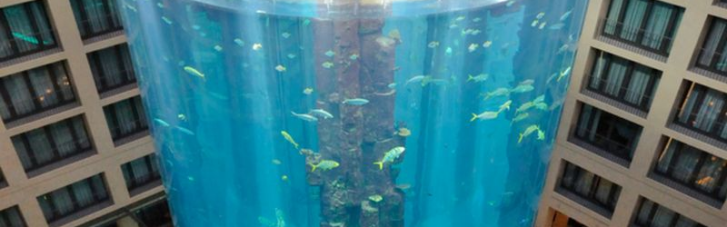 Взорвался аквариум из Книги рекордов Гиннеса: пострадали и рыбы, и люди