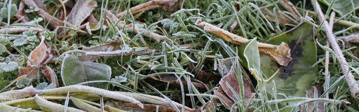 Синоптики попередили про заморозки в Україні найближчої доби