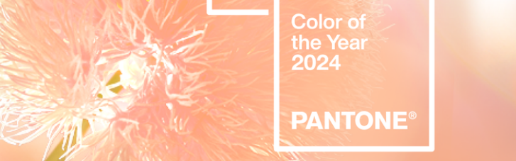 Pantone обрав головний колір 2024 року