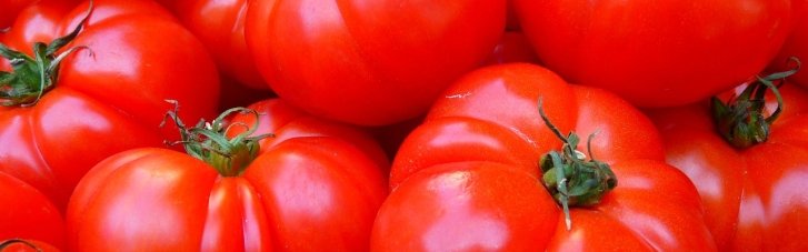 Коли подешевшають помідори: Мінагрополітики поділилося обережним прогнозом