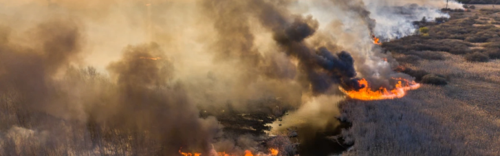 В половине областей Украины объявили чрезвычайную пожарную опасность (КАРТА)