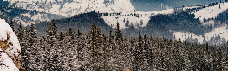 У горах на Буковині похолоднішало до 28 градусів морозу