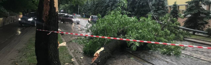 У Львові через ураган постраждала людина