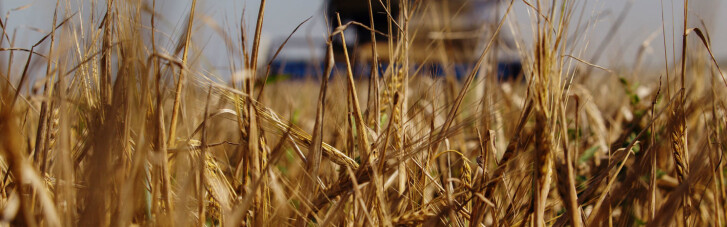 Зле Сонце. Уполовинит чи засуха доходи українських аграріїв (ІНФОГРАФІКА)