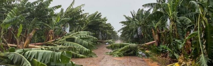 В Австралії через ураган  40 тисяч домівок залишилися без світла