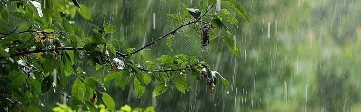 Погода в Україні 24 травня: у половині регіонів дощитиме (КАРТА)