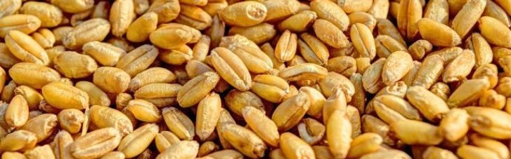 ООН подтвердила продление "зернового соглашения"