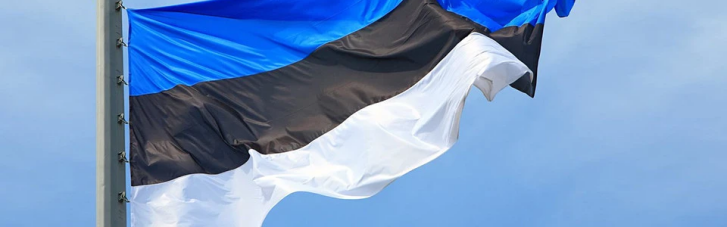 Эстония предложила план помощи Украине на €120 млрд