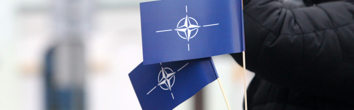 Референдум щодо НАТО. Чи наважиться Зеленський позлити Путіна