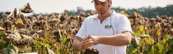 Поддержка в трудное время. Как Lidea помогает украинским фермерам и инвестирует в Украину