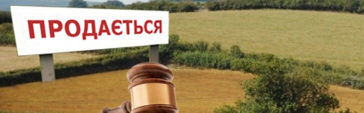 Когда в Украине состоятся земельные аукционы?