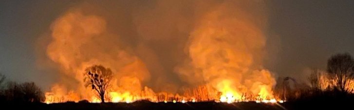 У Києві погасили масштабну пожежу в екопарку "Осокорки" (ФОТО)