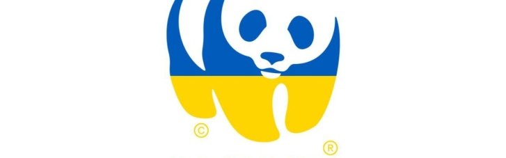 "СВО" проти панд: Росія визнала "небажаним" WWF