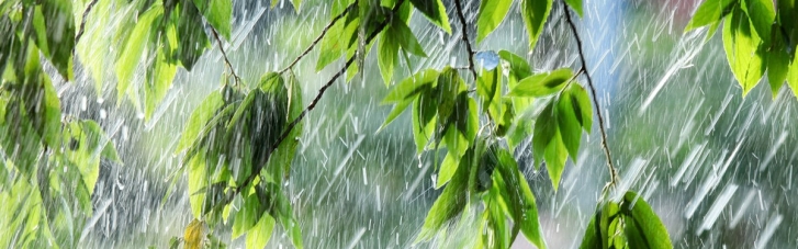 Погода в Україні на 8 липня: Дощі, місцями шквальний вітер та град (КАРТА)