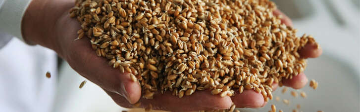 Мінагрополітики відзвітувало про рекордний урожай ранніх зернових