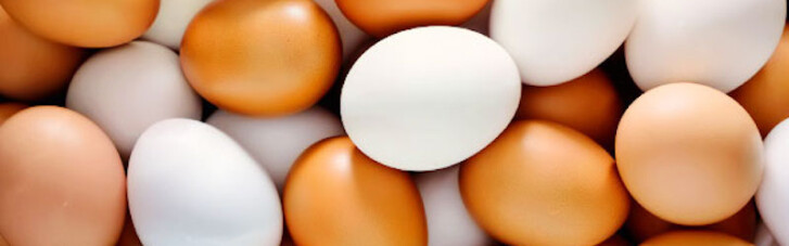 НАБУ звинуватили у падінні виробництва яєць в Україні на 16%