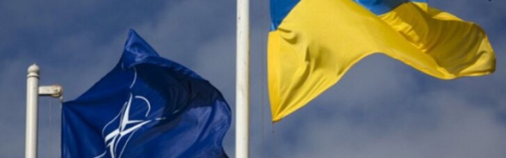 Украинцы хотят в НАТО, но пока не годятся для Альянса - глава миссии