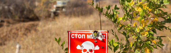Под Горловкой собиравшая грибы местная жительница подорвалась на мине боевиков (ФОТО)