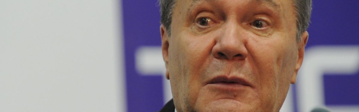 Янукович не оскаржував рішення про відсторонення, — нардепка