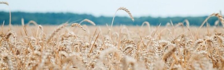 Украина запретила ввозить из России пшеницу, масло и бумагу