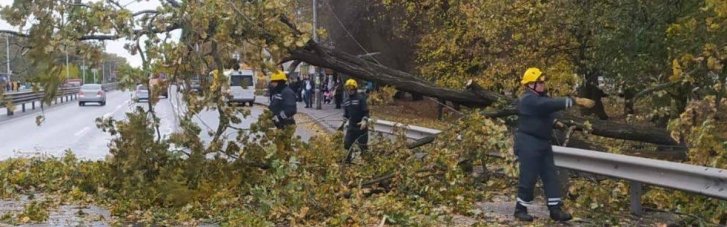 Только на Киевщине ураган повредил 600 деревьев, 300 ЛЭП и более 7 тысяч трансформаторных подстанций