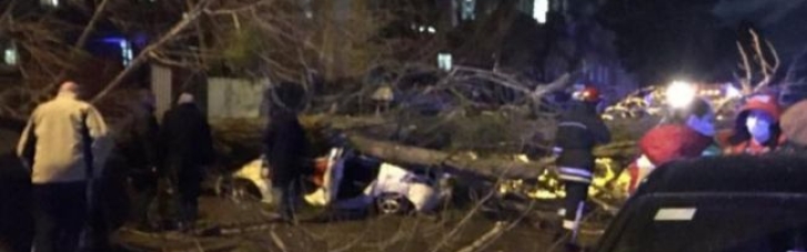 У Києві через сильний вітер на автомобіль впало дерево: є загиблий і травмовані (ВІДЕО)