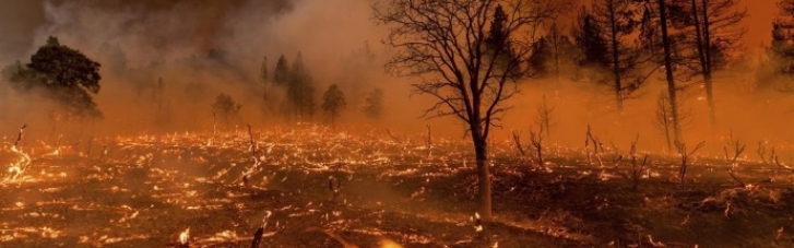 Масштабні лісові пожежі в Каліфорнії: евакуйовано 3 тисячі людей (ФОТО)