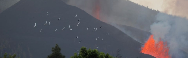 Виверження вулкана на Канарах: інтенсивність зросла, за добу більше 10 землетрусів