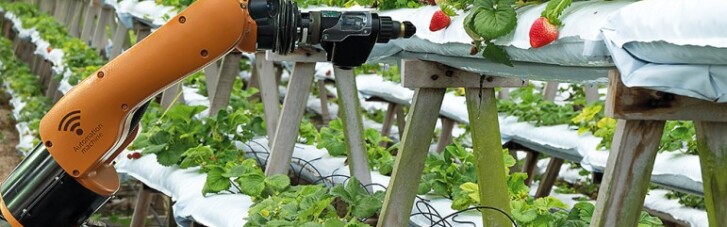 Agrotech для України. Як IT допомагають збирати високі врожаї