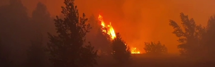 На Київщині — лісова пожежа, врятовано жінку (ФОТО, ВІДЕО)