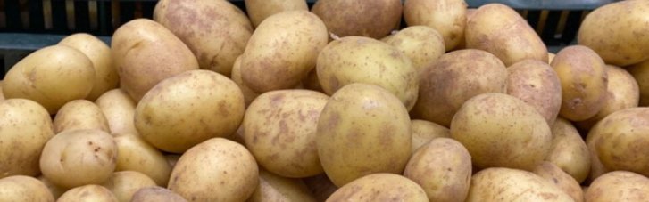 Картопля: медики назвали корисні властивості овоча