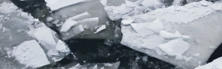 На Прикарпатье две девушки спасали собаку и провалились под лед