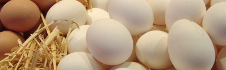 Bankruptcy of "Avangard" will hit the world market of eggs