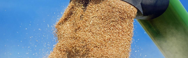 Кабмин оплатил 50 тысяч тонн пшеницы для Сомали и Эфиопии