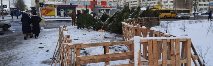 У Києві закрили близько 30 нелегальних ялинкових ярмарків