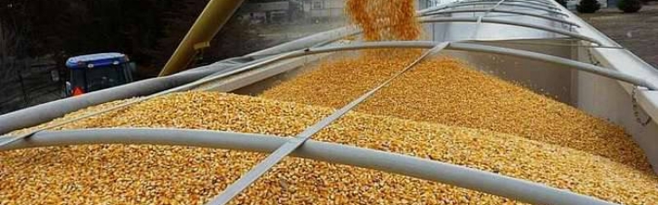 В Єврокомісії не ухвалили рішення про продовження заборони на експорт зерна з України