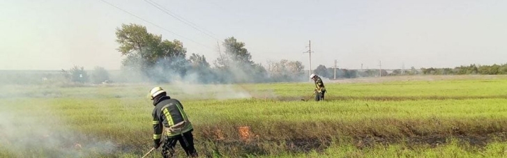 В нескольких областях Украины сохраняется чрезвычайная пожарная опасность