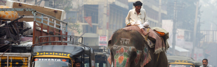 Слон проти дракона. Чи зможе Індія стати мотором світової економіки замість Китаю