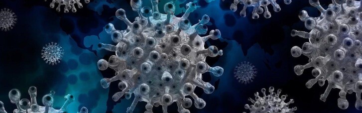 Вчені з США протестували на сирійських хом'яках антитіло, яке нейтралізує коронавірус