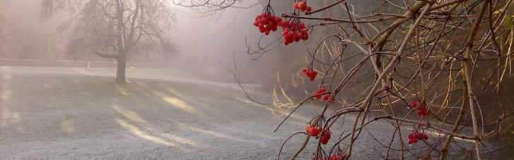 В Україні очікуються заморозки: в яких регіонах похолоднішає