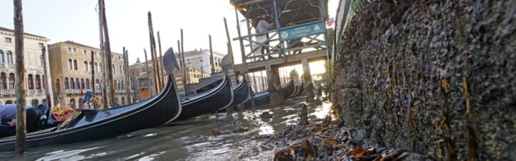 У Венеції через низький приплив висихають канали (ВІДЕО)